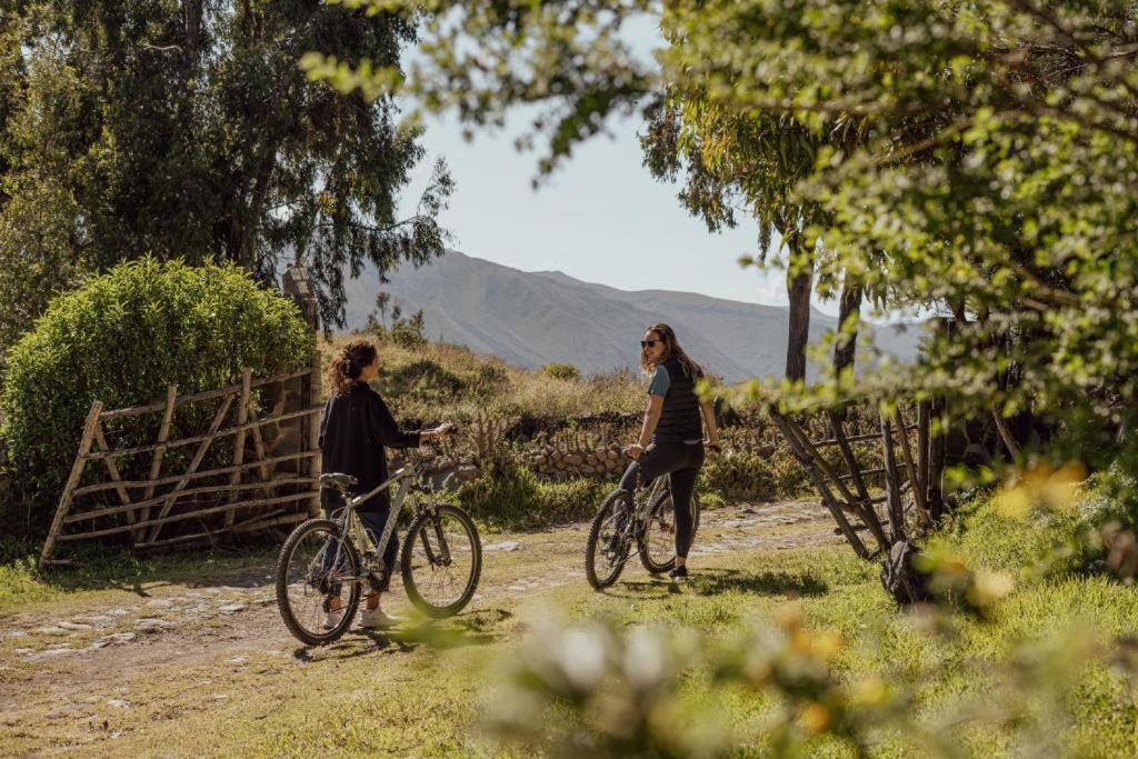 Colca Trek Lodge Best Experience Pinchollo Luaran gambar